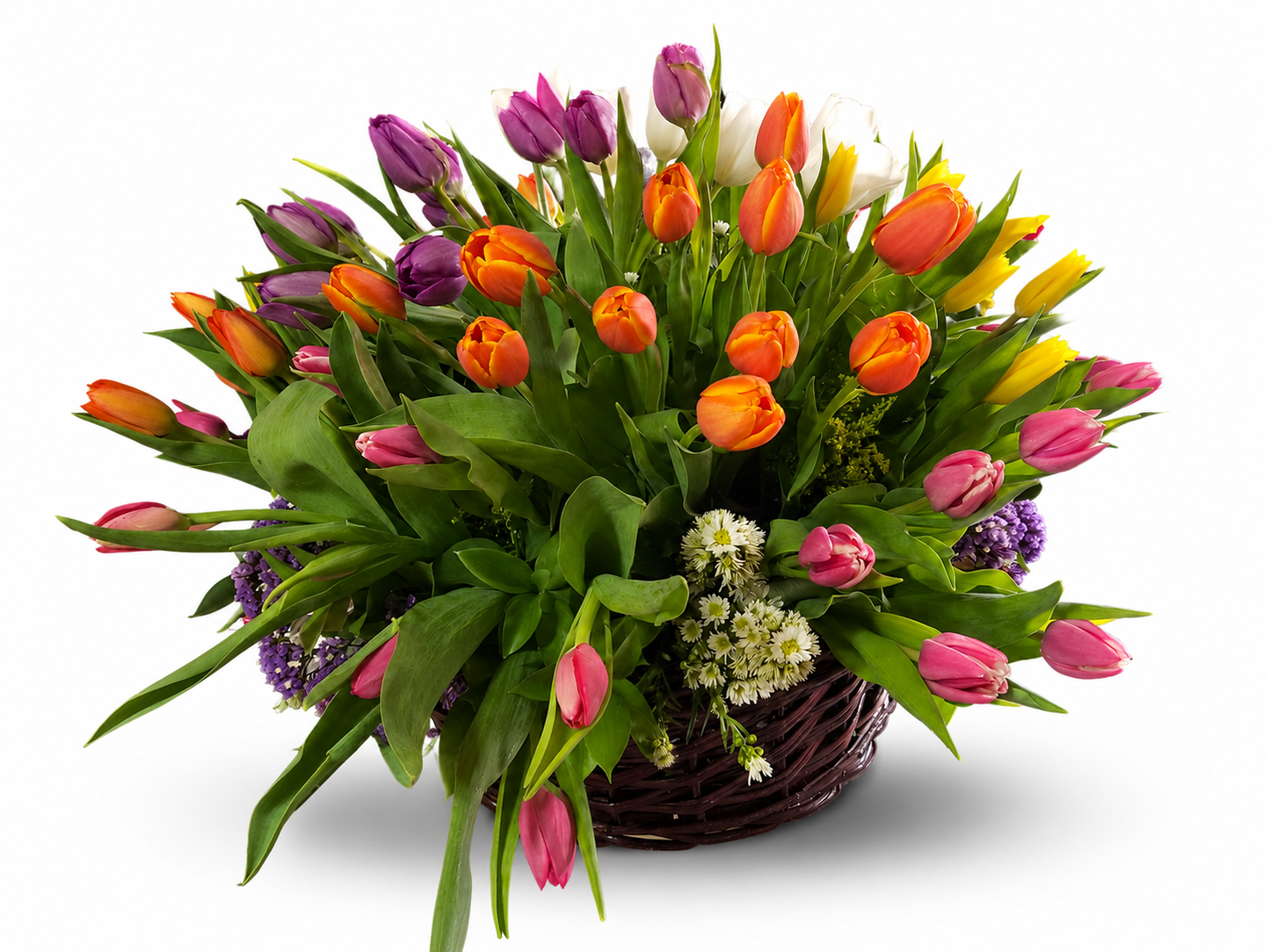 Arreglo de Tulipanes Multicolor